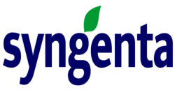 Syngeta